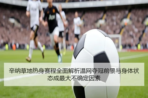 辛纳草地热身赛程全面解析温网夺冠前景与身体状态成最大不确定因素