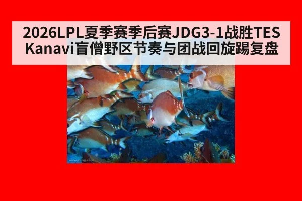 2026LPL夏季赛季后赛JDG3-1战胜TES Kanavi盲僧野区节奏与团战回旋踢复盘