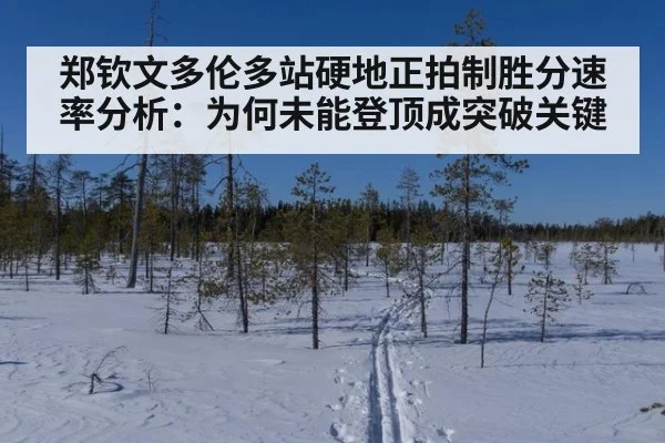 郑钦文多伦多站硬地正拍制胜分速率分析：为何未能登顶成突破关键