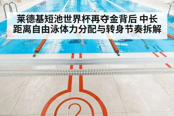 freestyle swimming competition lanes