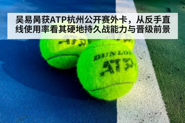 ATP tennis tournament stadium hard court
